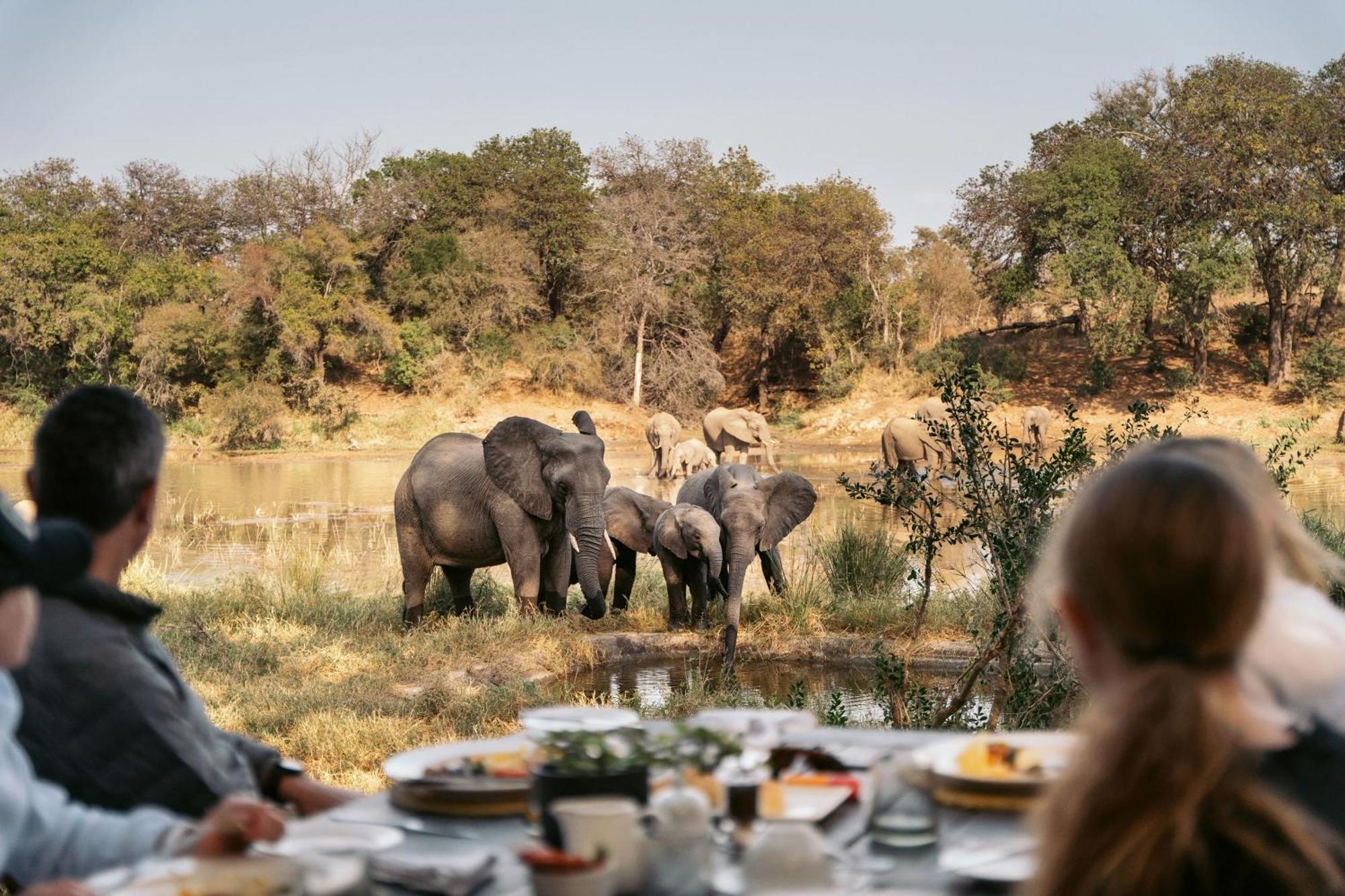Simbavati River Lodge Резерват за дивеч „Тимбавати“ Екстериор снимка